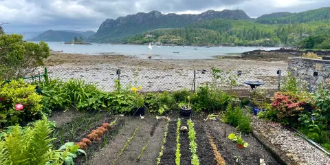 Plockton Harbour