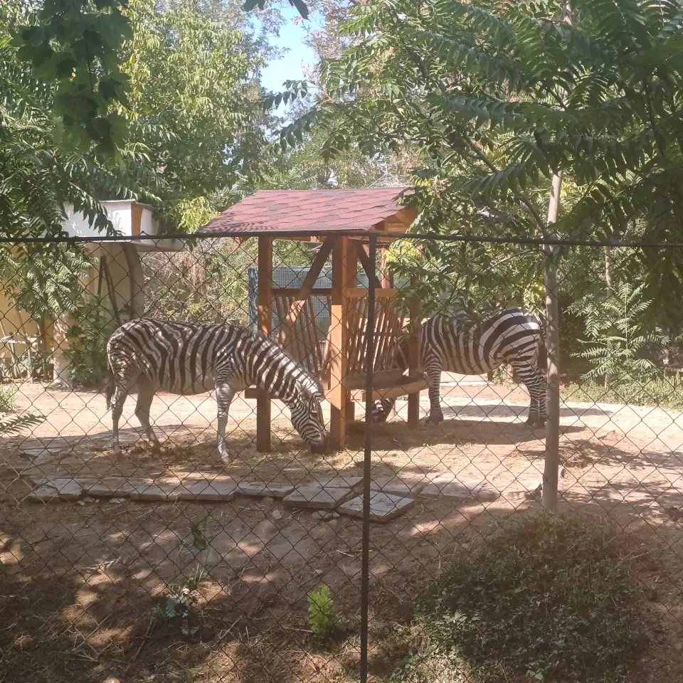 5_The Sofia Zoo