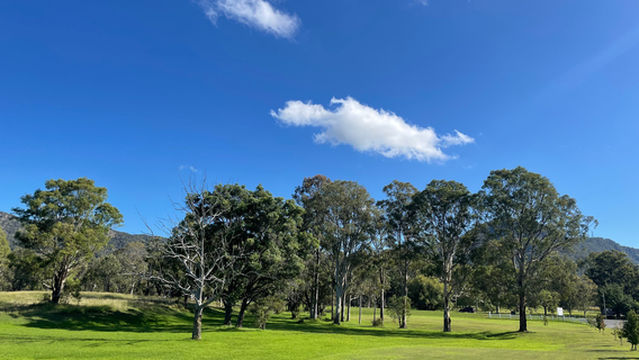 Glandore Estate Wines