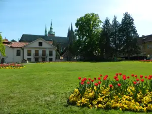 Dạo thưởng hoa Phổ Biến Tại Prague