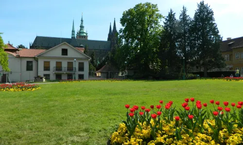 The Royal Garden