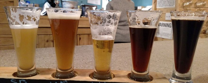 Fulton Chain Craft Brewery