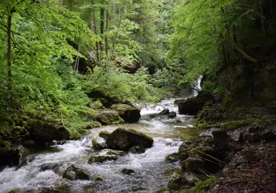 Sankt Wolfgang im Salzkammergut