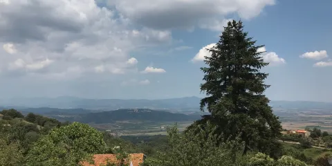 Area Archeologica di Vetulonia