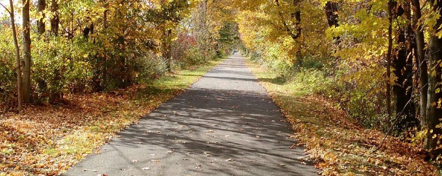 Wooster Grove
