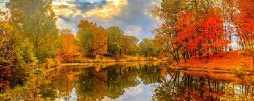 Mahr Park Arboretum