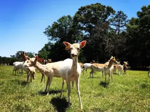 Santa Rosa Ranch