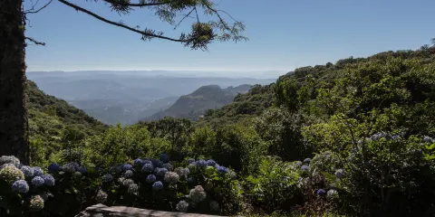 Santinha Nossa Senhora do Equilíbrio