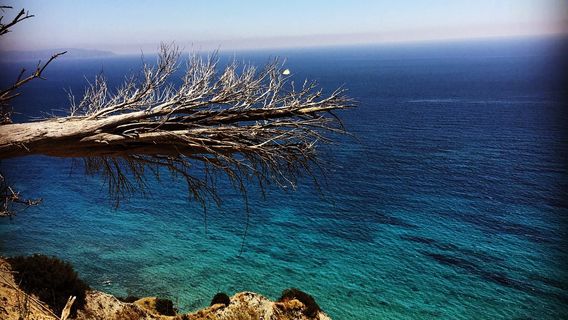 Monastery of the Blessed Virgin Mary