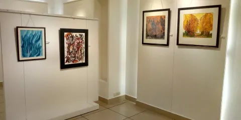 Art Life Gallery
