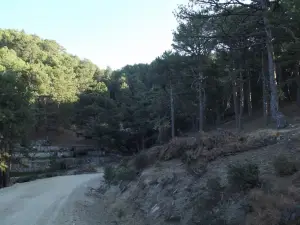 Şarlan Tabiat parkı