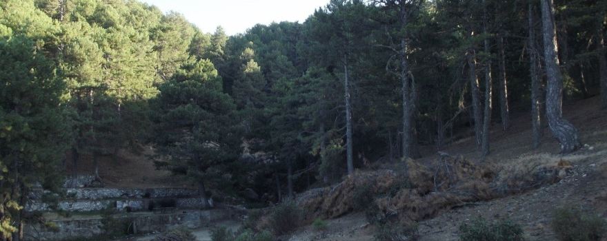 Şarlan Tabiat parkı