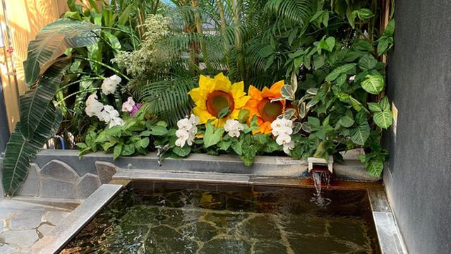 Hidamari Onsen Hana-No-Yu