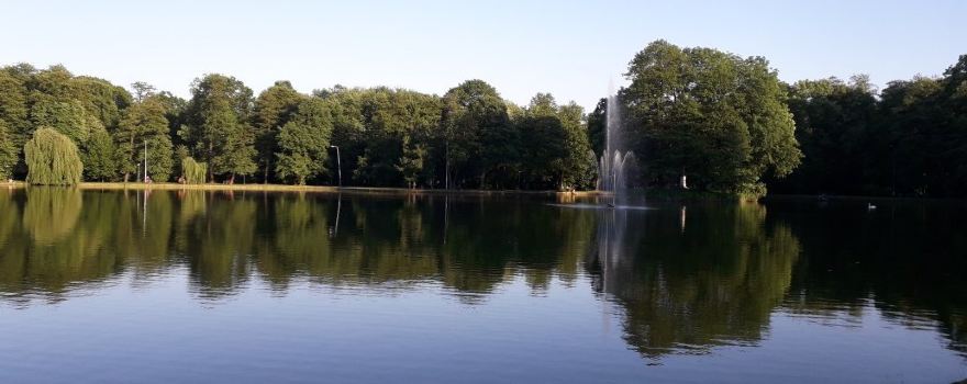 The Potulicki Park