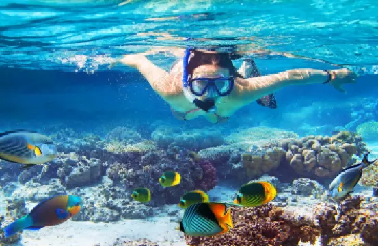 タークス・カイコス諸島のおすすめホテル・2025年の人気宿を宿泊予約