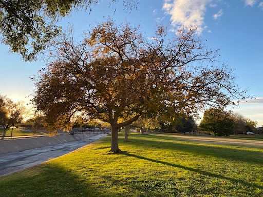 Montgomery Park