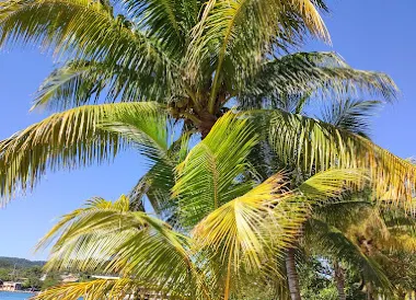 Roatán