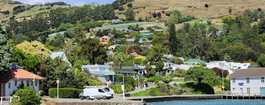 Swimming with Dolphins