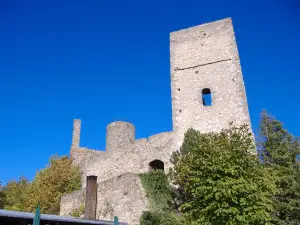 Greener Burg