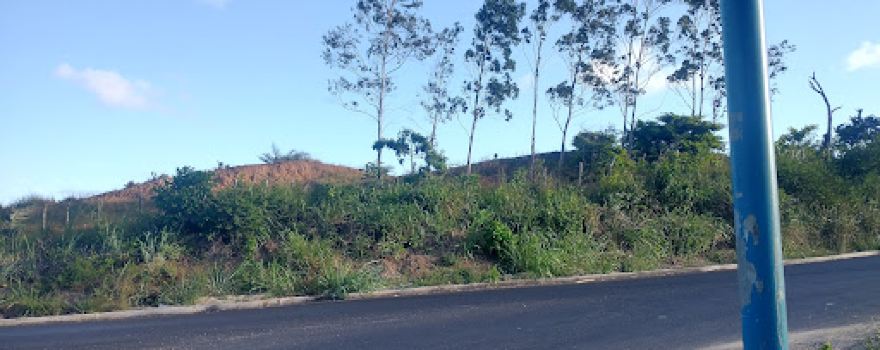 Praça do visgueiro
