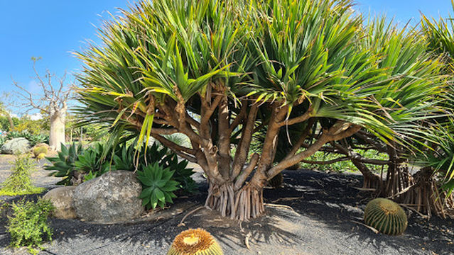 Parque de la Mayordomía