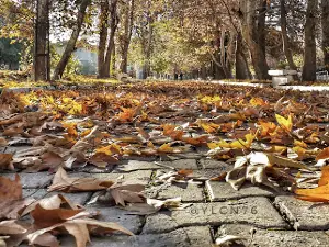 Elbistan Municipality of Ceyhan Park