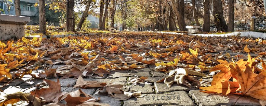 Elbistan Municipality of Ceyhan Park