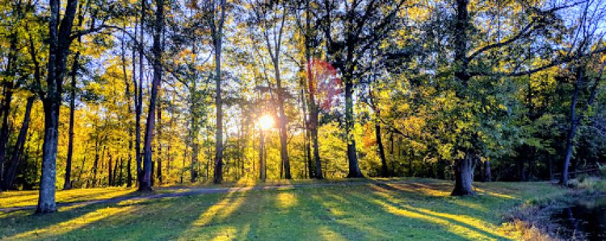 Blue Mountain Park
