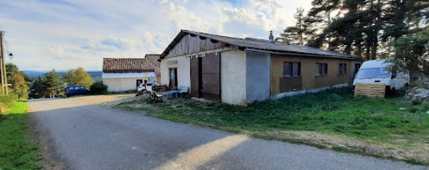 La Toison D'Or