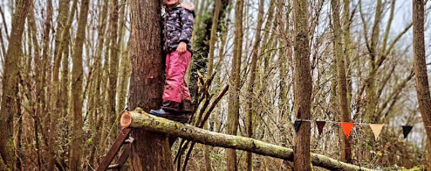 Wilderness Forest School