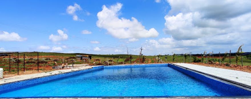 V.R. Swimming Pool