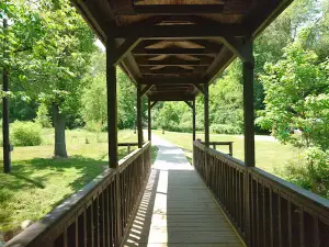 Shady Brook Park