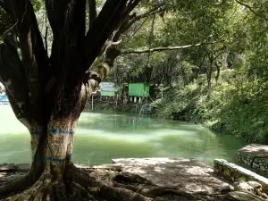Poza Azul [Salto de Agua]