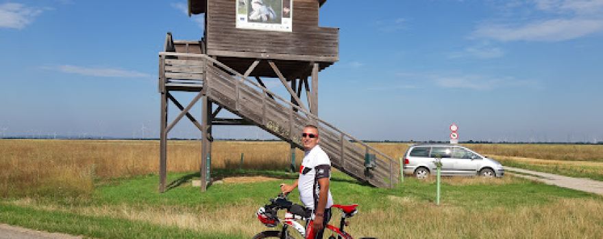 Aussichtsturm