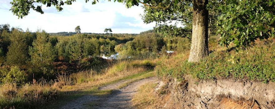 Bølling Lake