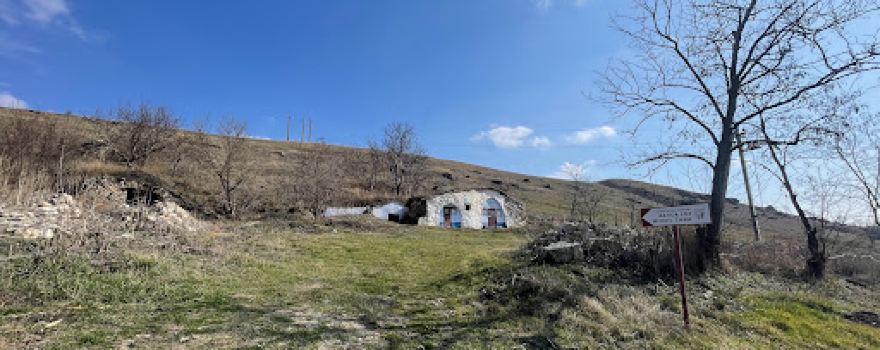 Başca lui ȚARA