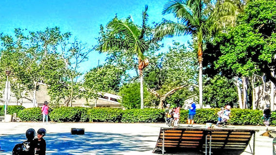 University Community Park