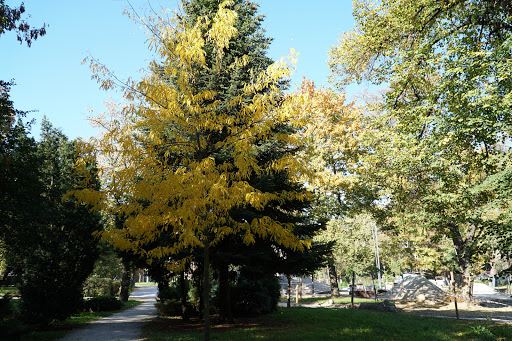 Park Słowiański