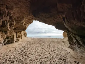 Pomponio State Beach