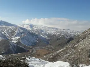 Hezıl Stream