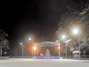 Заельцовский каток