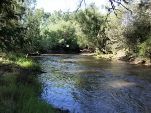 Nariel Creek Recreation Reserve