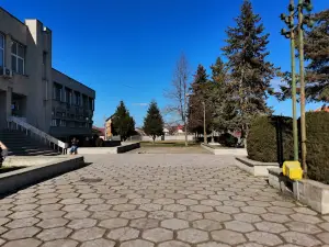 House of Culture "Amza Pellea"