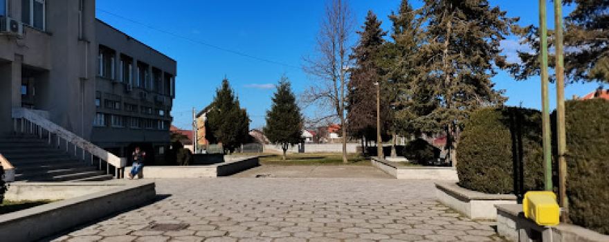 House of Culture "Amza Pellea"
