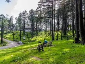 Patnitop view point