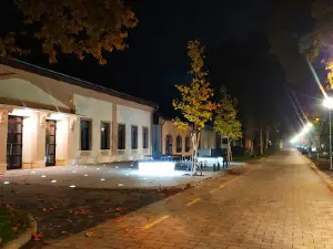 Mátészalka Kossuth utca