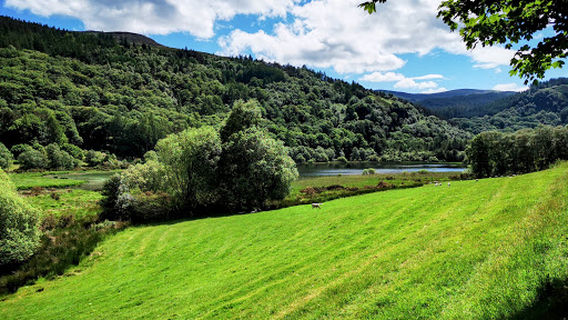 Glendalough Roundtower