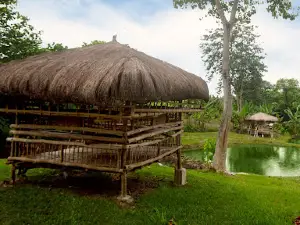 SCC Nature Farm
