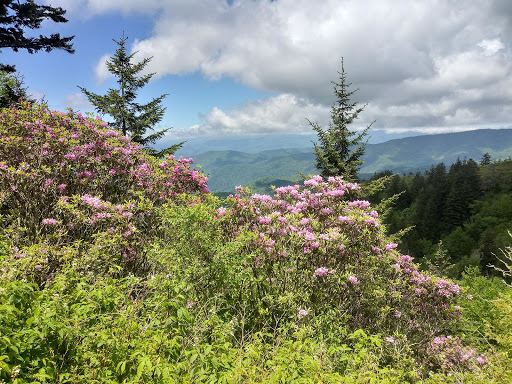 Woolyback Overlook