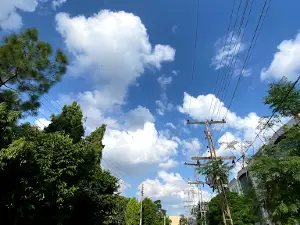 Y Block Park